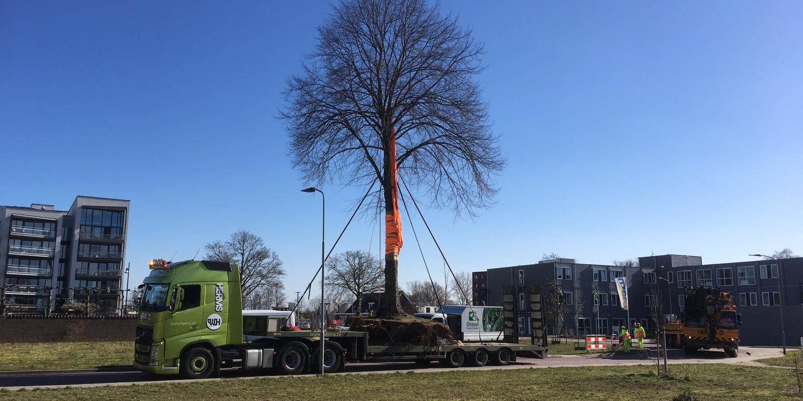 WhatsApp Image 2021-02-24 at 16.48.29 (2)